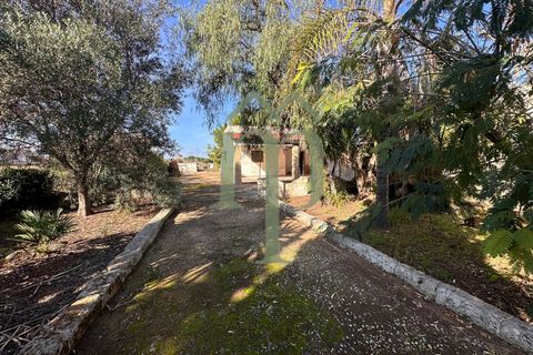 Landejendom i Carovigno, Brindisi, Carovigno - € 149.000 | Ref: Villa Guaceto - foto 23
